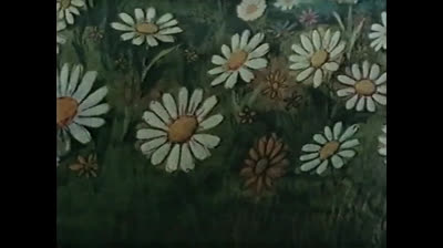 Peline Story 32 La Signora La Leclie