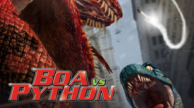Boa vs. Python  2004
