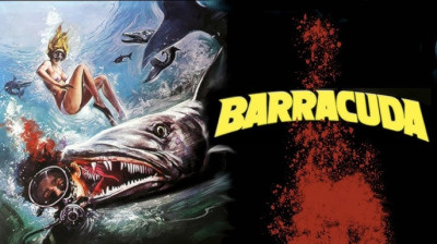 Barracuda (1978) (film complet en français)