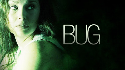 Bug  2006