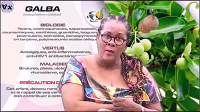 ET SI CETAIT POSSIBLE PAR LES PLANTES