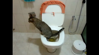 (Eu não Vou como é Bom se Divertir pra Desistir 3)-(DVD COMPLETO)-(Ano de Cinema em 2025)