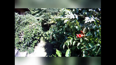 (Eu não Vou como é Bom se Divertir pra Desistir 2)-(DVD COMPLETO)-(Ano de Cinema em 2025)