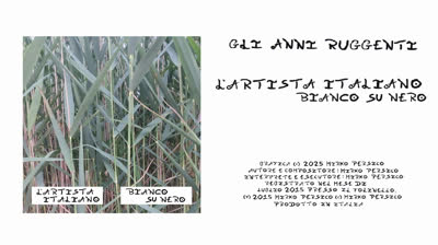 L'Artista Italiano - Gli Anni Ruggenti