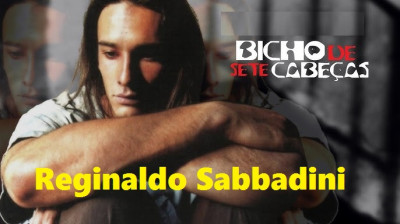 Bicho De Sete Cabeças (Dub)(DvdRip).Mp4