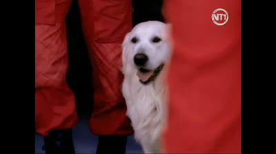 medicopter 117 en vf saison 3 episode 4