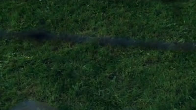 Prison Break s 1 e 11 Un de trop (2005)