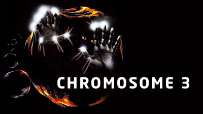 Chromosome 3 1979