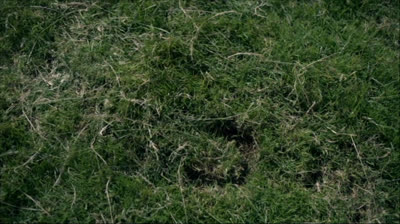 Saison 01 Épisode 14 Une chanson pour Jamie (The Search)