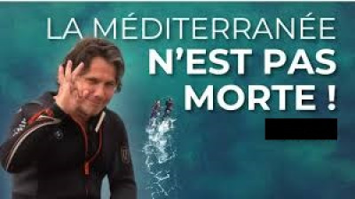 La Méditerranée n'est pas morte !