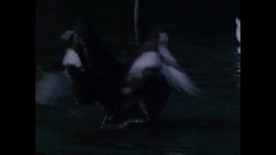 Ultraman 20 La vendetta del mostro Hydra