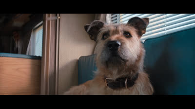 Finch (2021) Dublado